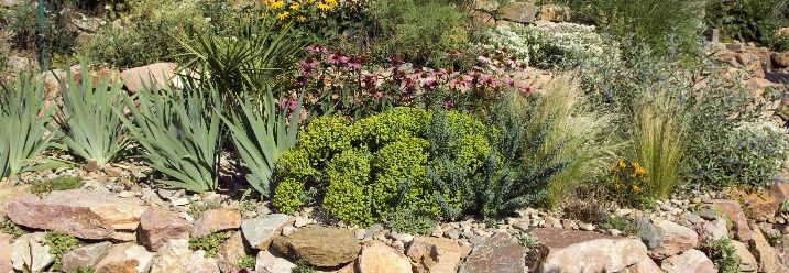 Gartenmauer mit Hochbeet und blühenden Pflanzen.